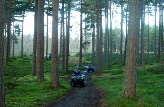  Senderos por bosques 